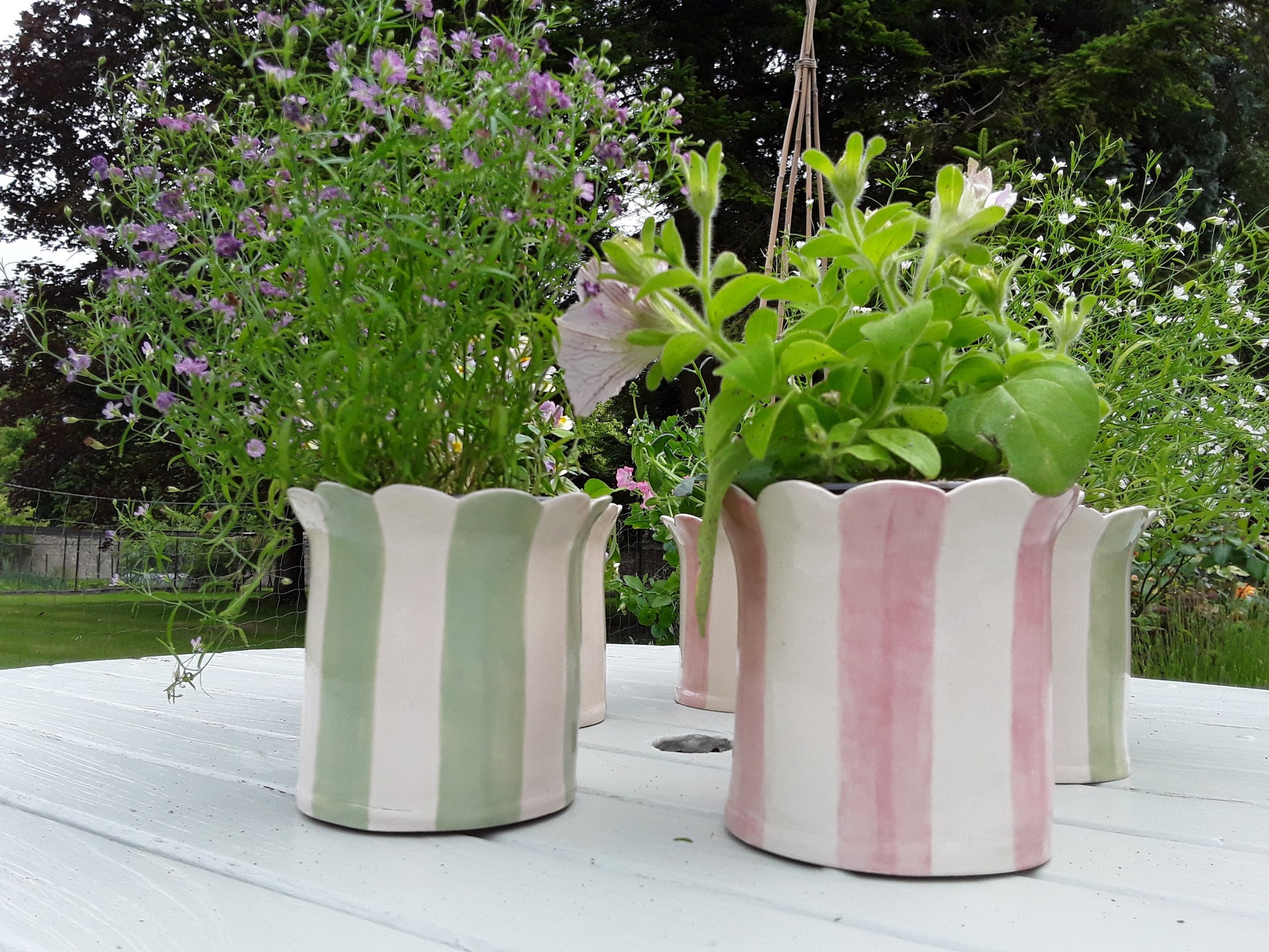 Sea Bramble Ceramics - Homemade Daisy Planters shown in pink & sage. Ceramic Stoneware planter / vase with beautiful flower arrangements