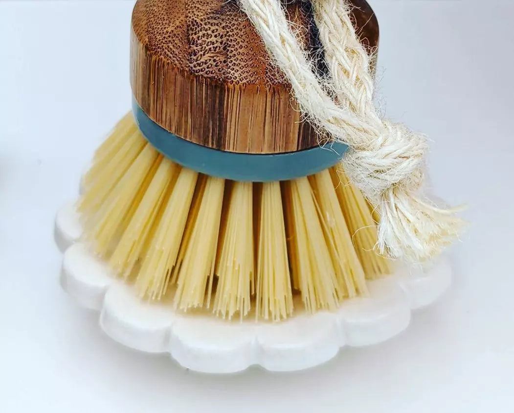 Brush and brush dish