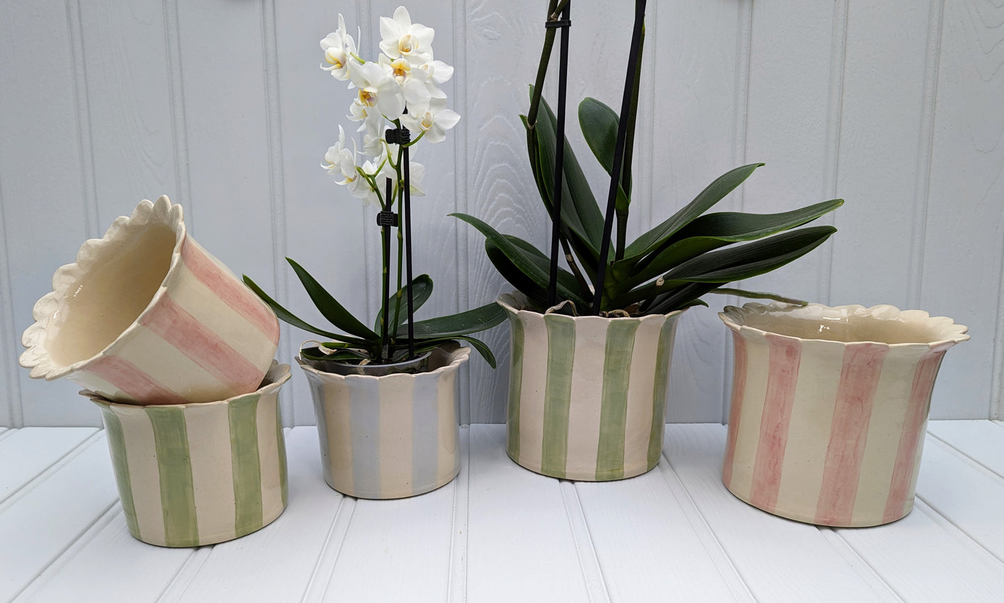 Orchid Planter small