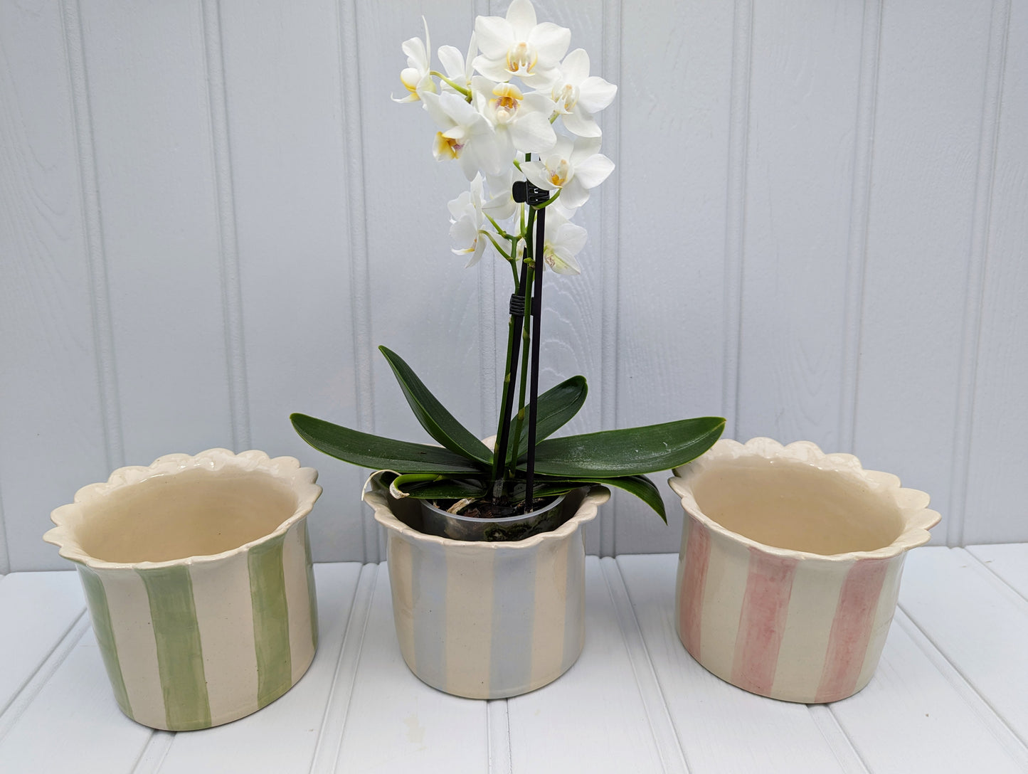 Orchid Planter small