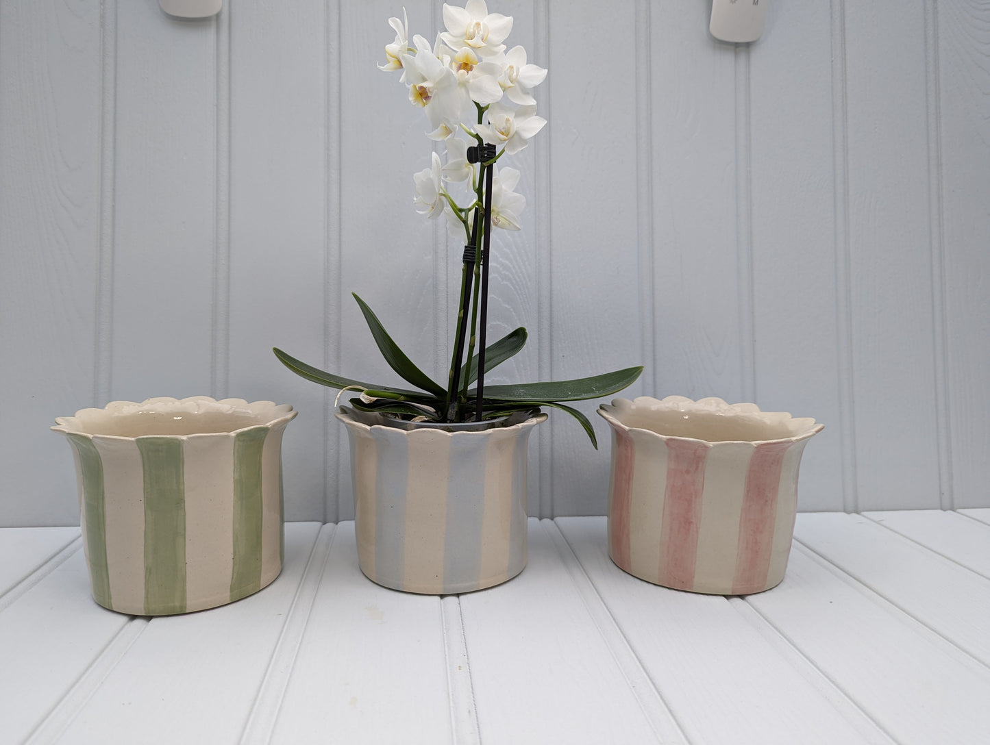 3 Small, Handmade, Ceramic, Stoneware Orchid / Houseplant planters with scalloped top and stripes. One Sage, one Baby blue and one pink.