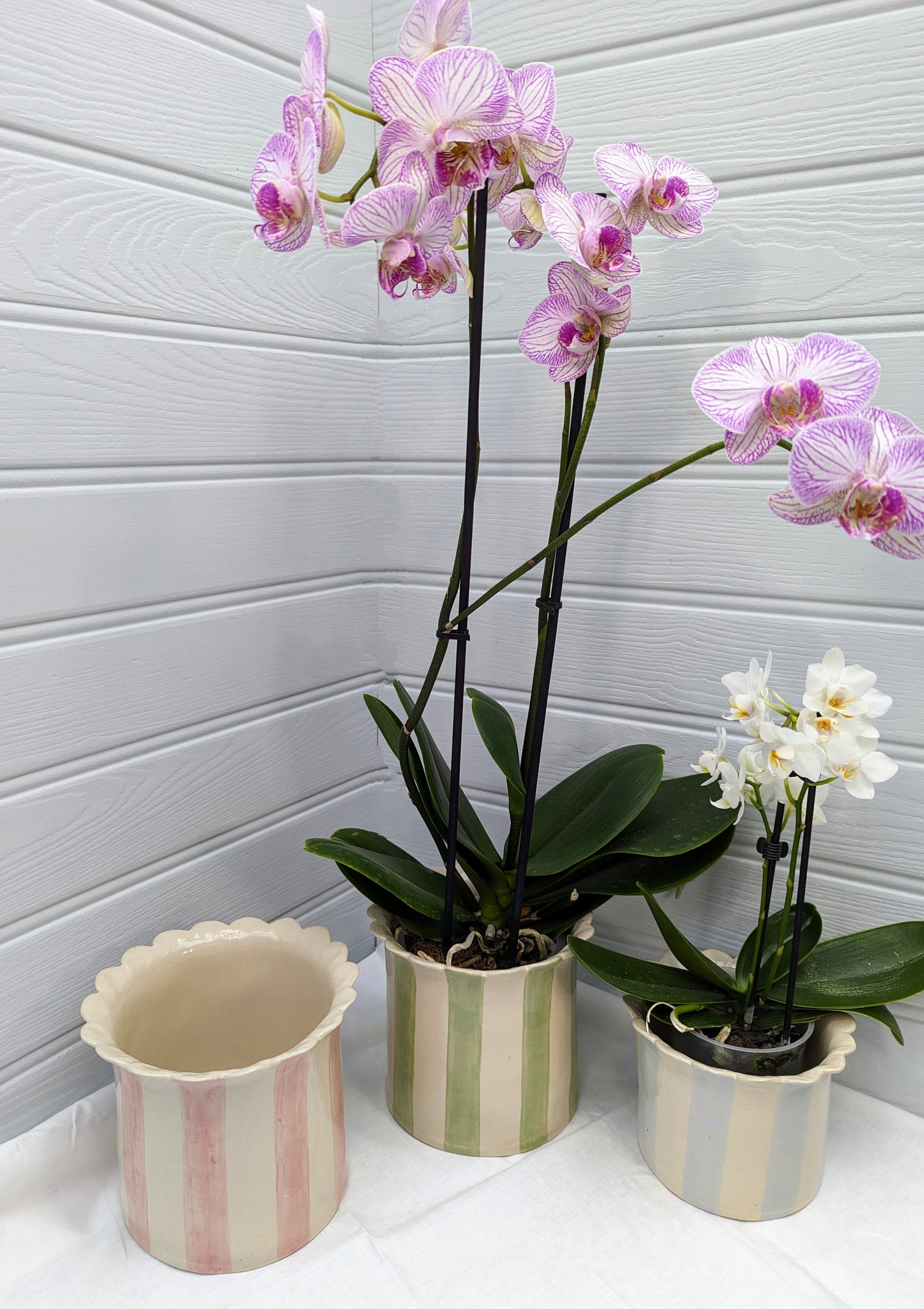 Orchid Planter large