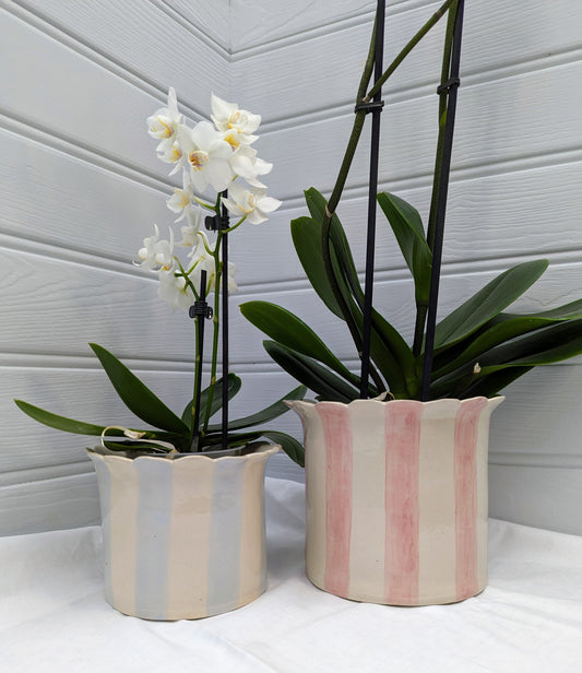 One Large & one Small, Handmade, Ceramic, Stoneware Orchid / Houseplant planters with scalloped top. One is Baby blue and the other is pink  striped.