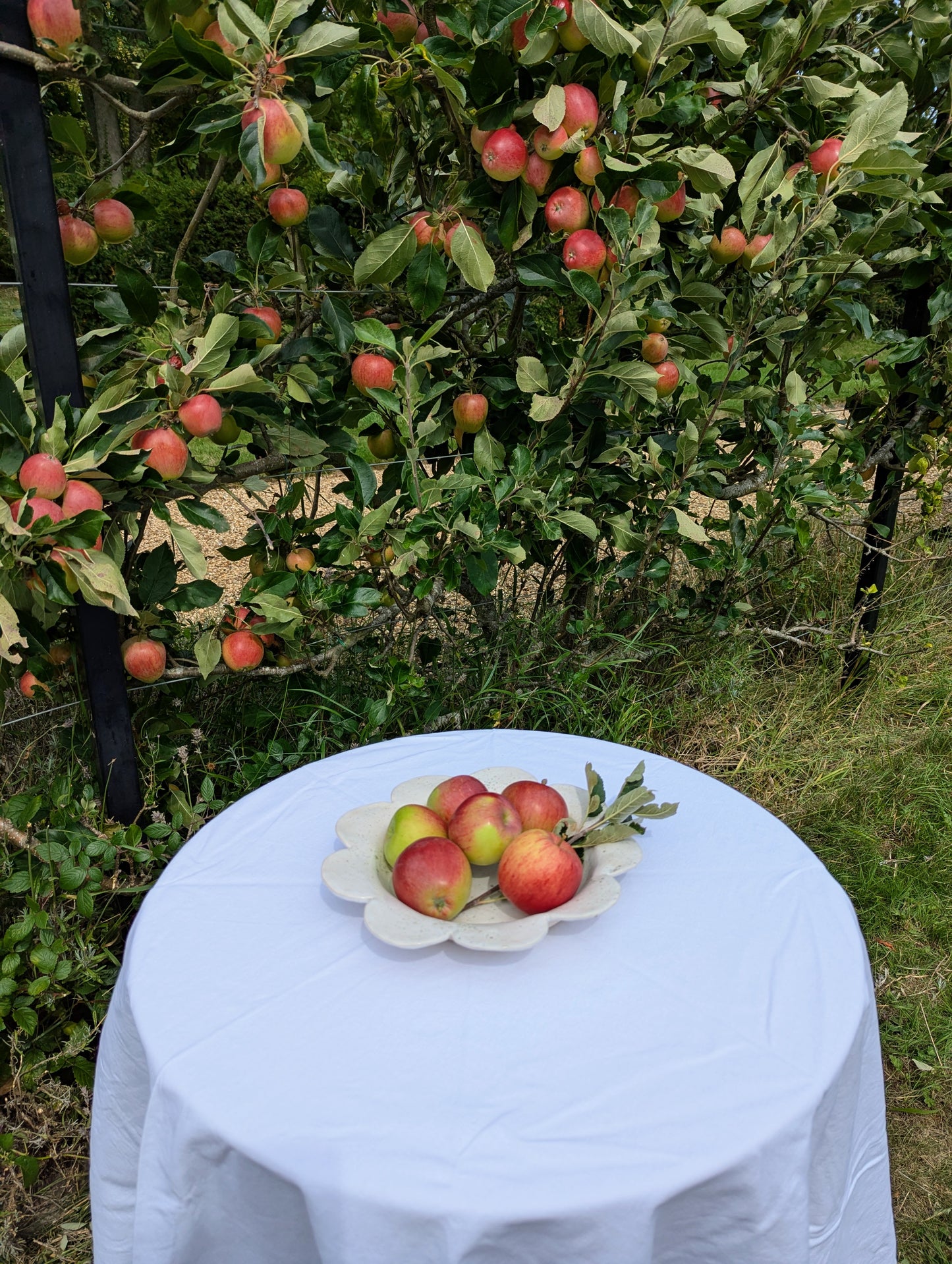 Apples in a bowl,on a table, in front of an apple tree. Designed and handmade exclusively by Sea Bramble Ceramics.