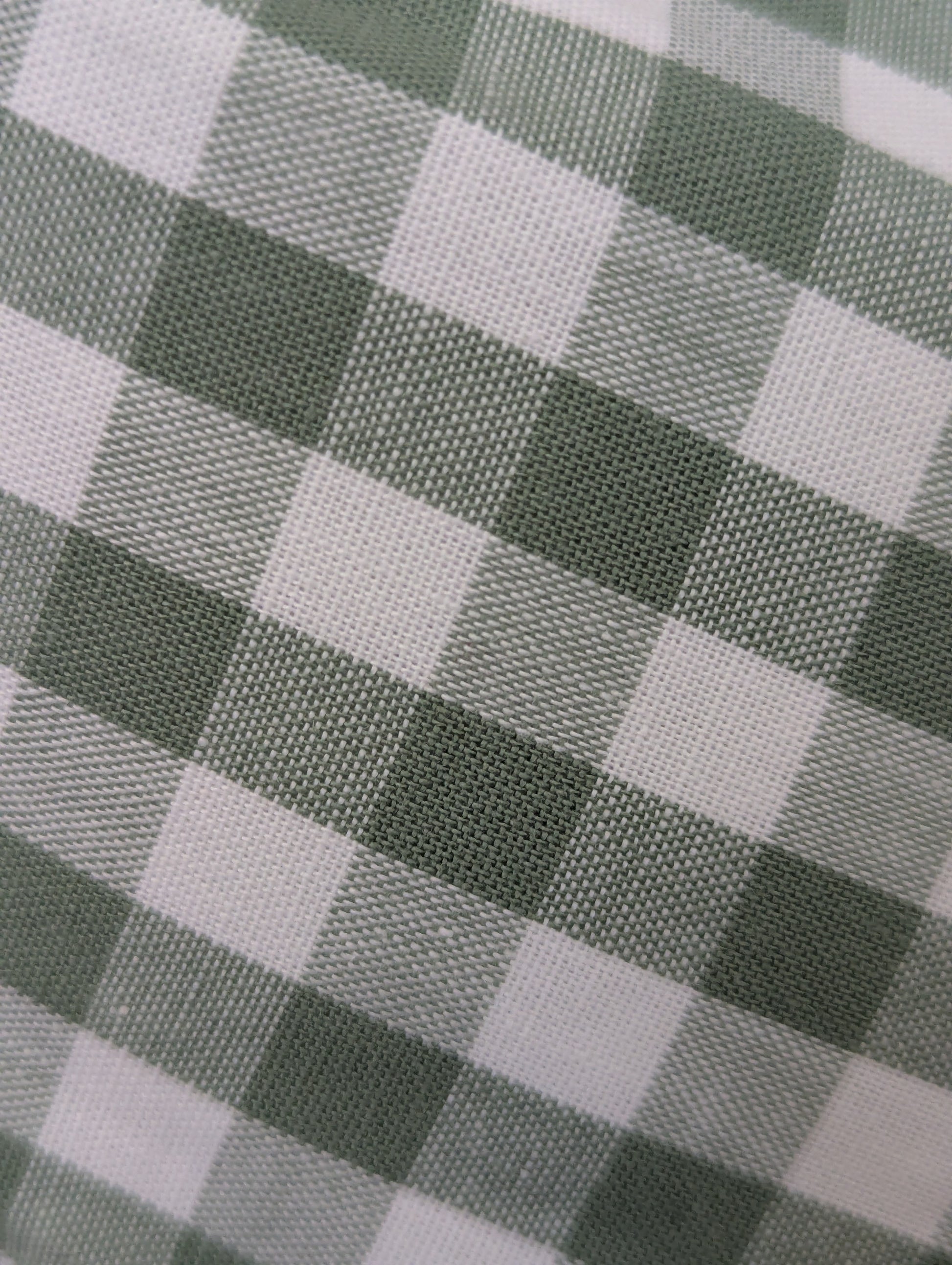 Sage green gingham